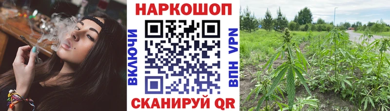 Где найти наркотики Перевоз Бошки Шишки  Мефедрон  Кокаин  СК  NBOMe  Гашиш 