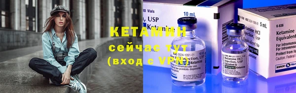 крисы Горняк