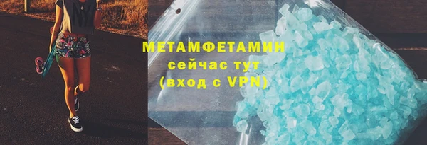 индика Горнозаводск