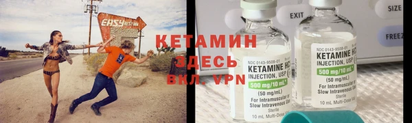 крисы Горняк