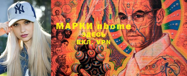 индика Горнозаводск