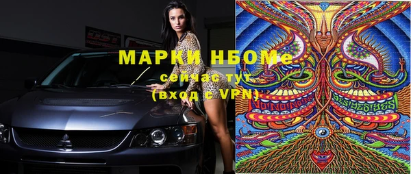 индика Горнозаводск