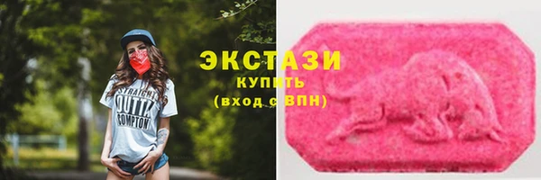 индика Горнозаводск