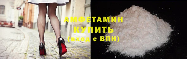 индика Горнозаводск