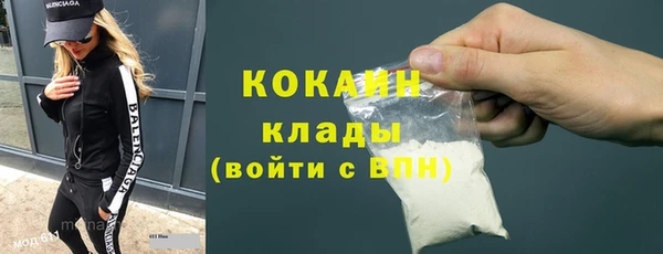 крисы Горняк
