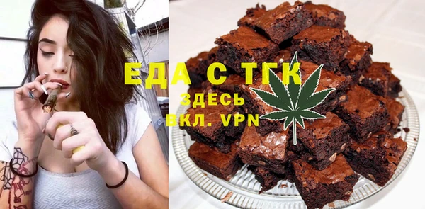 индика Горнозаводск