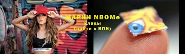 крисы Горняк