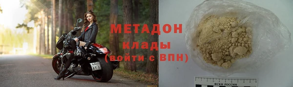 крисы Горняк