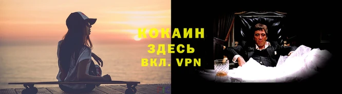 индика Горнозаводск