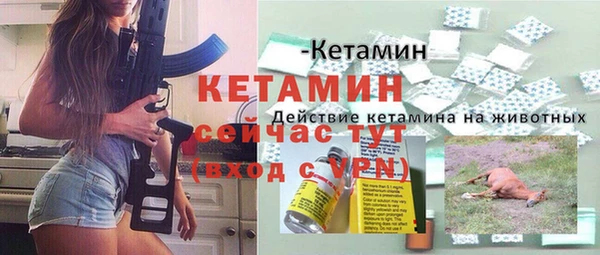 крисы Горняк