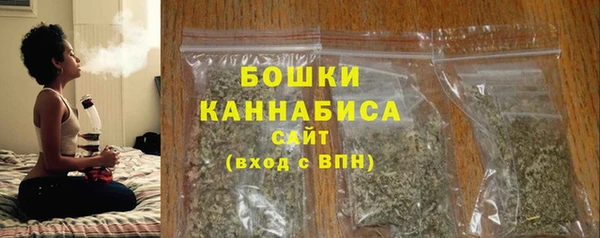 индика Горнозаводск