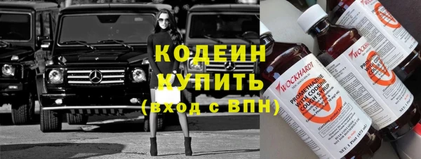 индика Горнозаводск