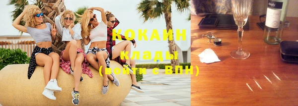 индика Горнозаводск