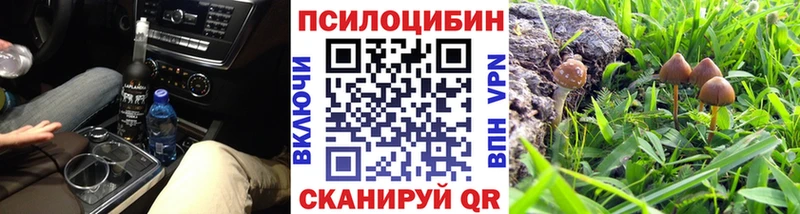 Галлюциногенные грибы Psilocybe  наркотики  Перевоз 